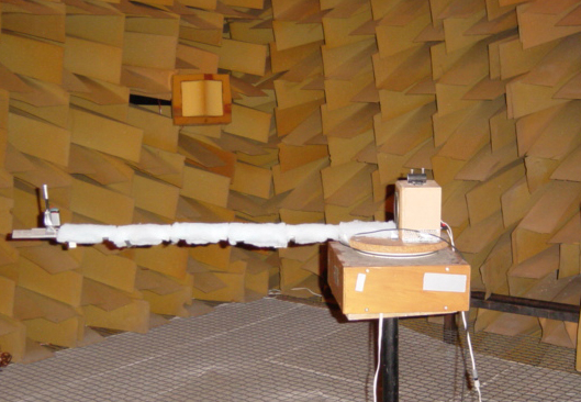 Inside the Anechoic Chamber